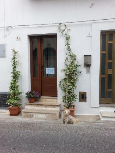  Nonno Angelo, Pension in Alberobello bei Masseria Orimini