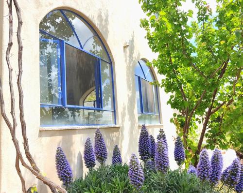 A house in the heart of a grove of oaks – khách sạn tại Ein Yaakov