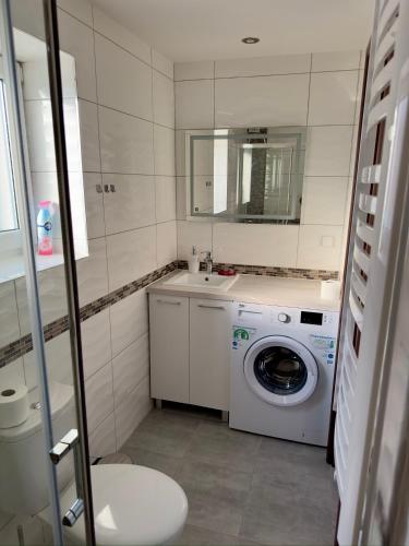 Osada Vikinga in Studzienice