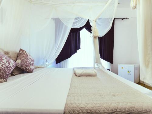 Quarto Standard image 3