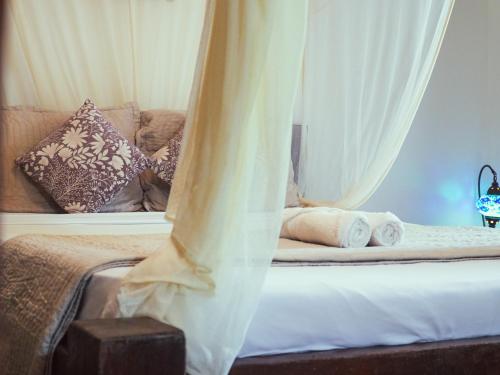 Quarto Standard image 4