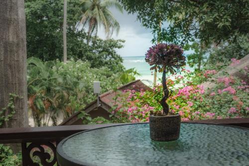 Samma Karuna Beach & Wellness Resort - Intoxicants free in Haad Chao Phao