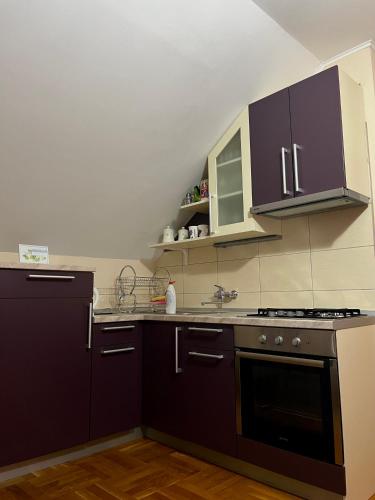 Apartments Tratincica in دريزنيك جراد