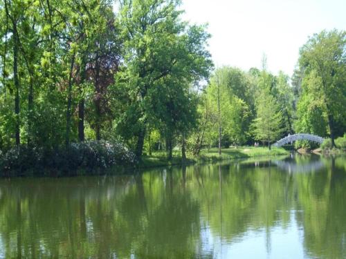 Surrounding environment, Terrace Apartment Saxony in Eilenburg