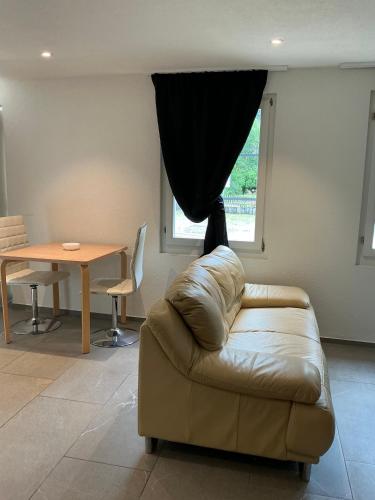 Base Amsteg in Silenen