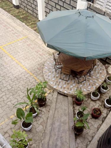 The Mylon Homes in Nakuru