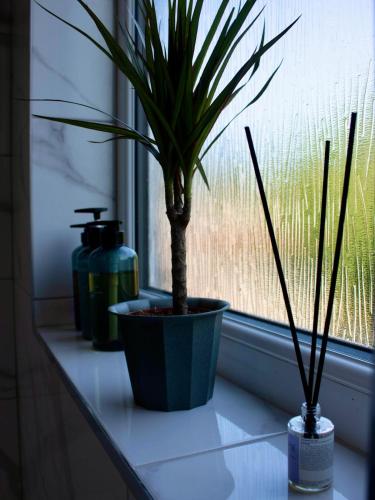 Stylish Double Room - Shared Bathroom - No Kitchen in 馬佩爾里