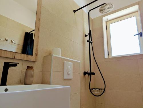 One-Bedroom Apartment image 6
