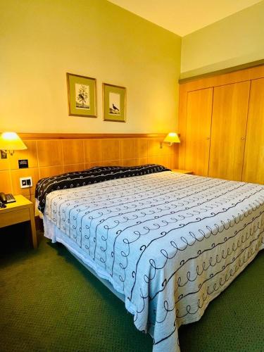 Superior King Room image 3