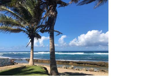 . Atlantic View Apartments