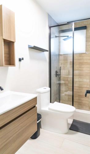 Fully Renovated Beachside with Oceanview 1 Bedroom Unit 8 in Dorado