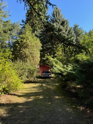 Вид, Charming Forest Home near Warsaw in Раджійовіце