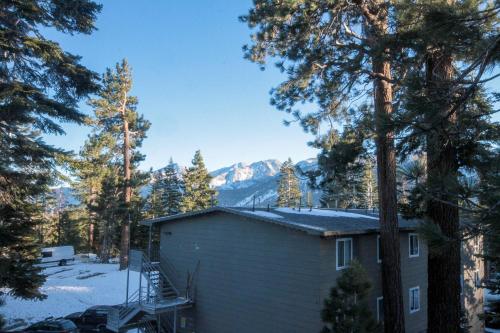 Mountainback #53 Loft - image 12