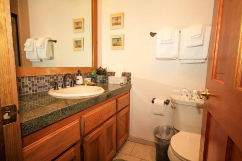 Mountainback #117 Loft - image 14