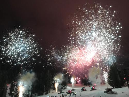 Mountainback #112 Corner Unit - image 12