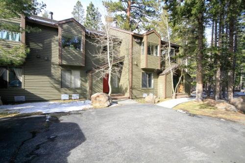 Forest Creek #3, Pet accepted detail