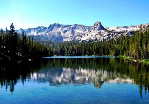 Discovery 4 #111 Pet Ok image