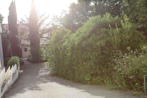 Apartments in Selce 54678 - image 2