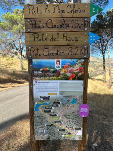 El secreto del pinar
