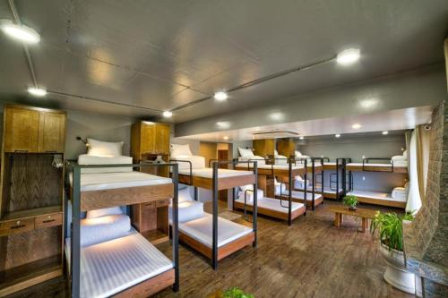Single Bed in Mixed Dormitory Room image 10