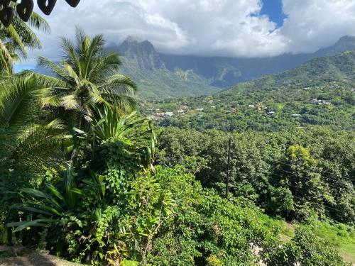 . TIKI LODGE Hiva oa
