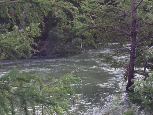 A Place to Stay Rooms