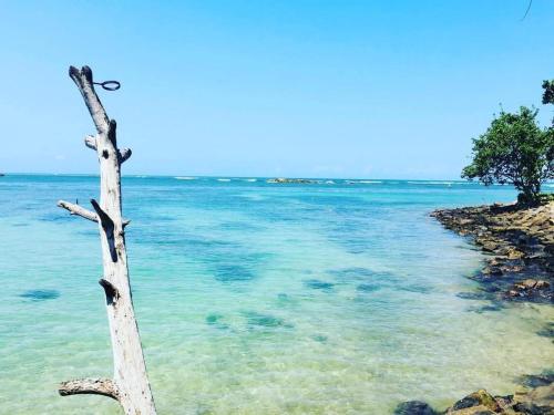 Ocean Beach House in Matara