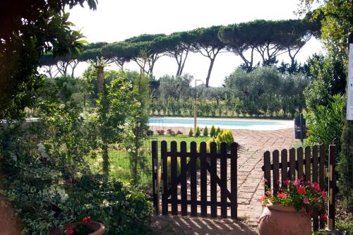 La Pulledraia Del Podere Montegrappa - image 2