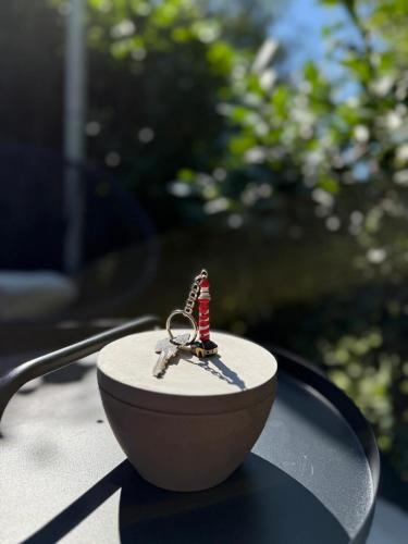 Spiegelhuisje aan zee in นิวฮัมสเตเดอ