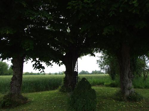 Le Saule Argenté