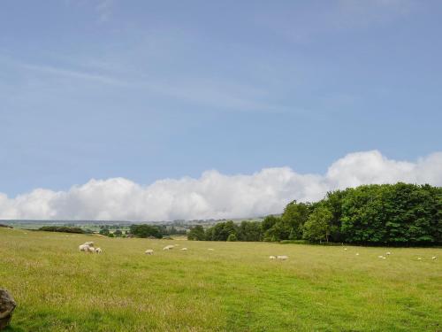 A szálláshely kívülről, Kirroughtree Steading 1 - Uk5859 in Newton Stewart