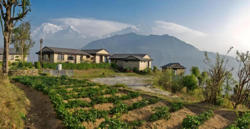 Hananoie - A Permaculture Resort - image 2