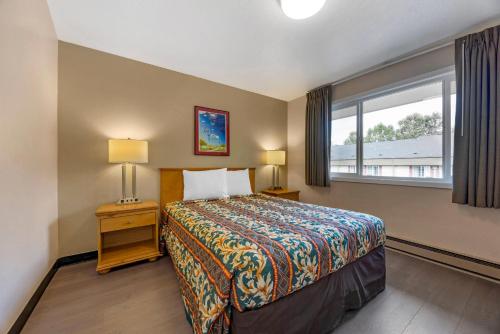 Rodeway Inn Albany - image 13