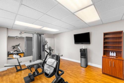Comfort Suites Austin Airport - image 8