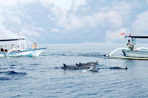 Photo - The Grand Villandra Resort Lovina