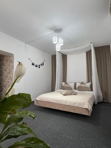 Casa cu Brazi in Busteni