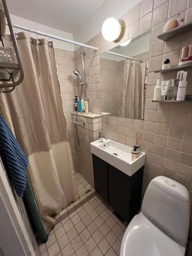Bright, child-friendly, balcony, 50 meters from the subway, Копенгаген (фото 11)