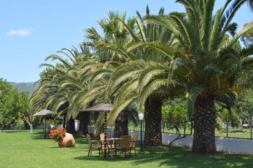 Ostria - image 7