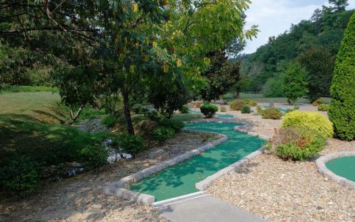 Charlie Brown's Cabin・Hot Tub・Game Room・Community Pool + Mini Golf - image 13