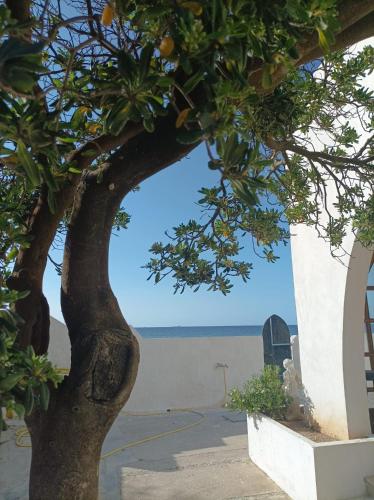 Kilátás, Casa Vacanze Tritoni in Marausa Lido