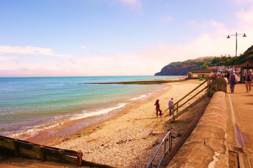 shoreside inn - image 9