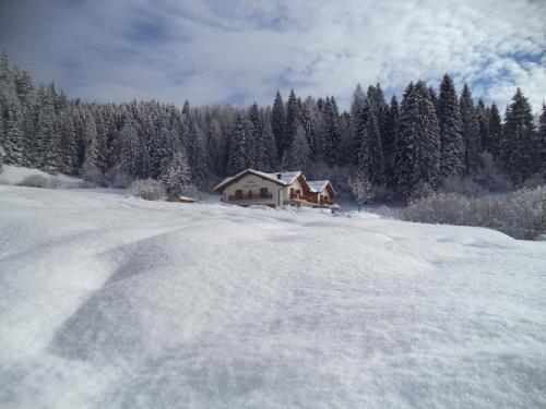 Albergo Chalet Abete Rosso