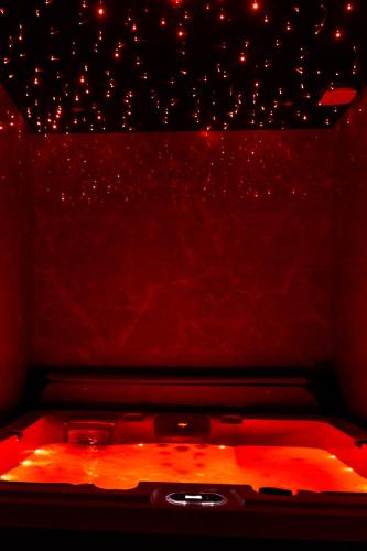 L'étoilé Strasbourg Jacuzzi Détente & Confort, Strasburgo (foto 8)