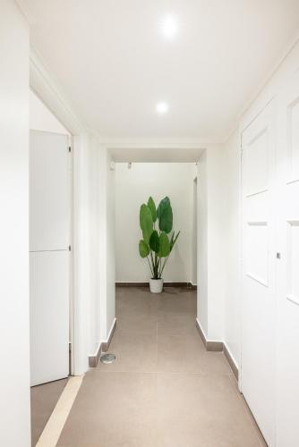 Maison Trevi 5