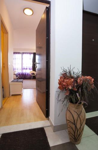 Belle Apartments-Elegance Apartments - image 12