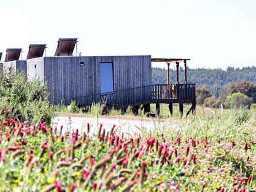 Beautiful Tiny House near Zambujeira do Mar Beach, Portugal gîte à louer Fataca