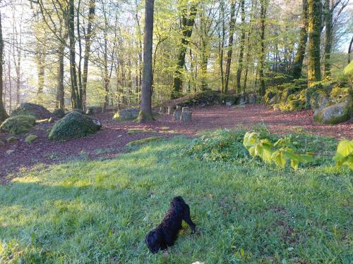 Countryside Caravan in Saint-Michel-de-Montjoie
