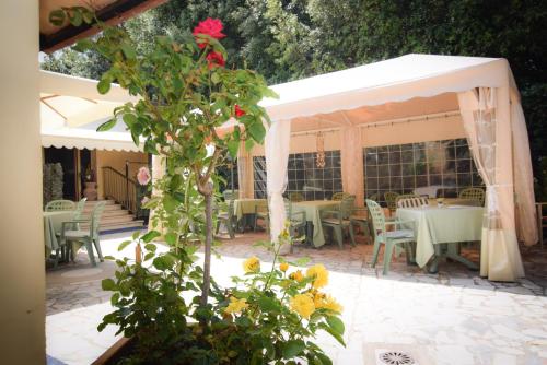 Hotel Villa Denia 2