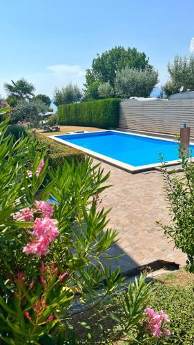 Bardolino Blue