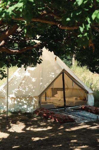 Butterfly Valley Seaside Glamping - Tap to explore photos